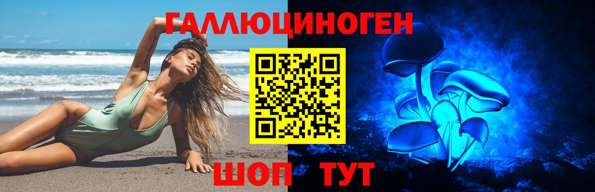Псилоцибиновые грибы Psilocybe  Вход с VPN  Чусовой 